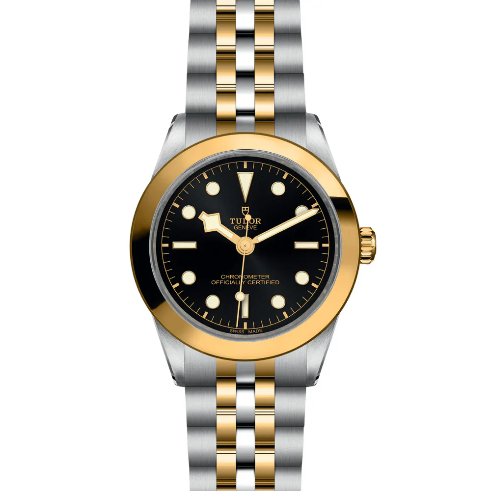 Tudor Black Bay One 39 S&G 39mm Steel Case Steel And Yellow Gold Bracelet detail 2
