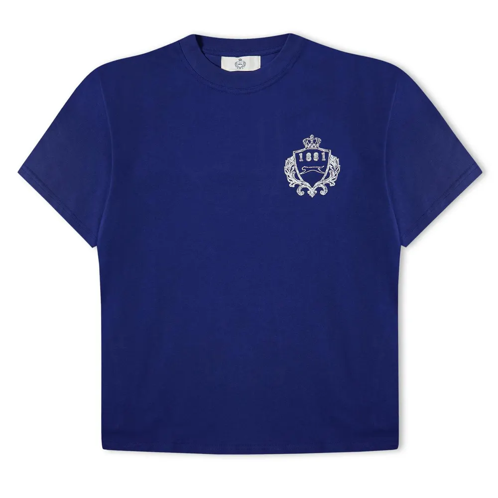 Slazenger Off-Court Mens Off-Court Emblem T-Shirt in Blue – Clothing