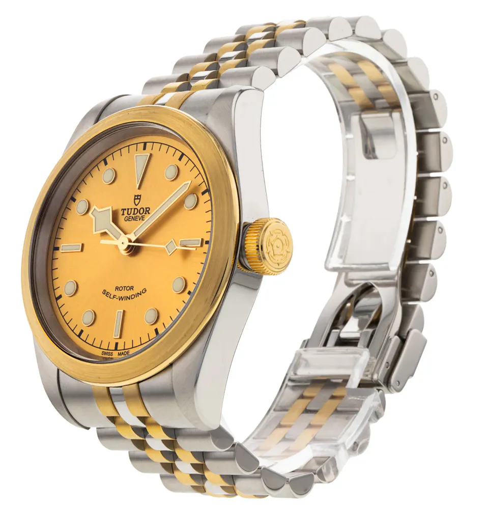 Tudor Heritage Black Bay M79543-0002 — 2020 — Very good detail 2