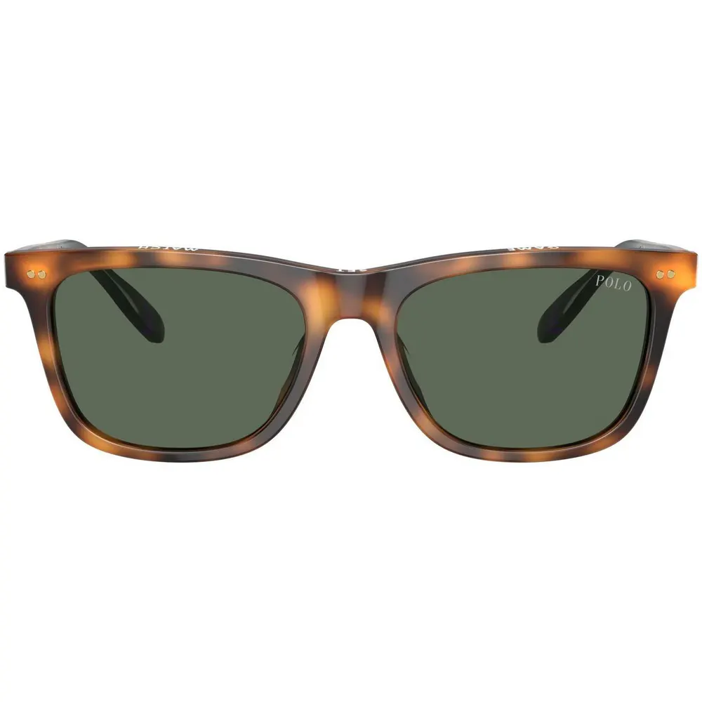 Polo Ralph Lauren Men's 0PH4205U Wayfarer Sunglasses