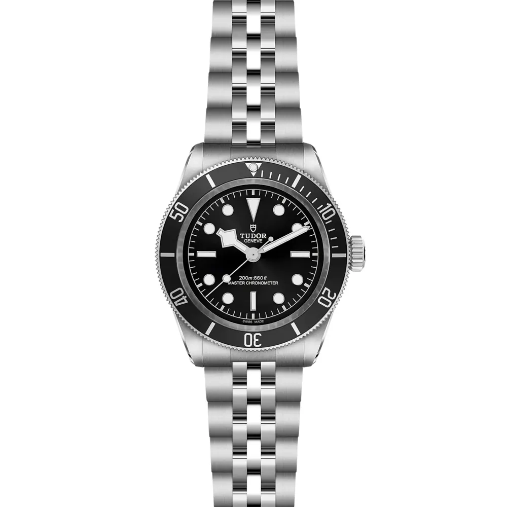Tudor Black Bay 41mm steel case steel bracelet detail 2