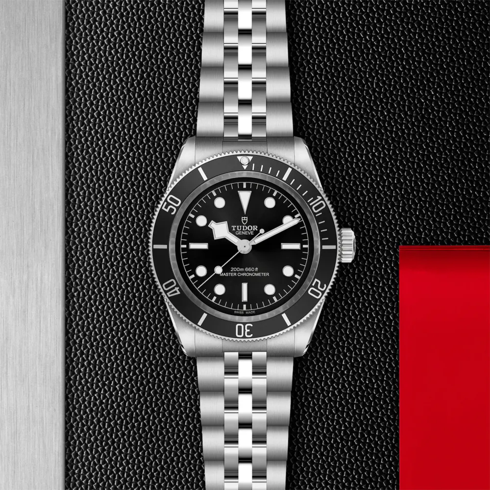 Tudor Black Bay 41mm steel case steel bracelet detail 3