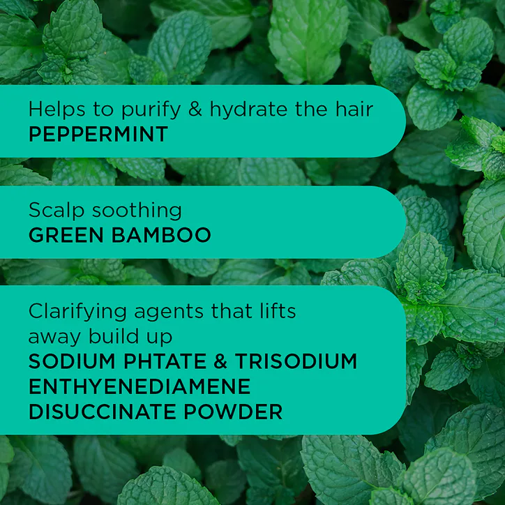 Noughty Detox Dynamo Clarifying Shampoo 250ml detail 3