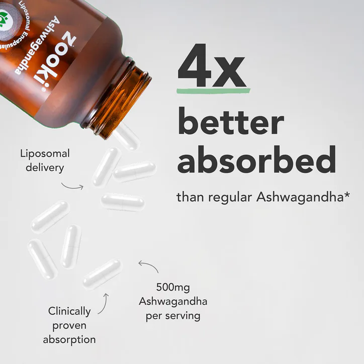 Zooki Liposomal Ashwagandha KSM-66 500mg 60 Capsules detail 3