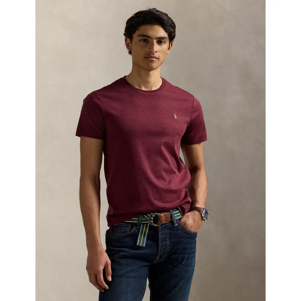 Polo Ralph Lauren Men's Regular Fit Pima T-Shirt detail 2