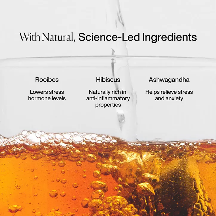 Mission Recover Rooibos Tea (Berry & Ashwagandha) 15 Tea Bags detail 3