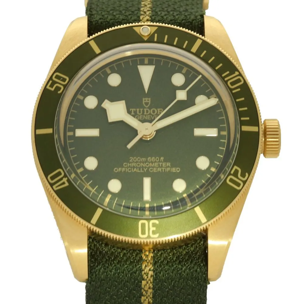 Tudor Black Bay 58 M79018V-0001 — 2021 — Very good detail 2