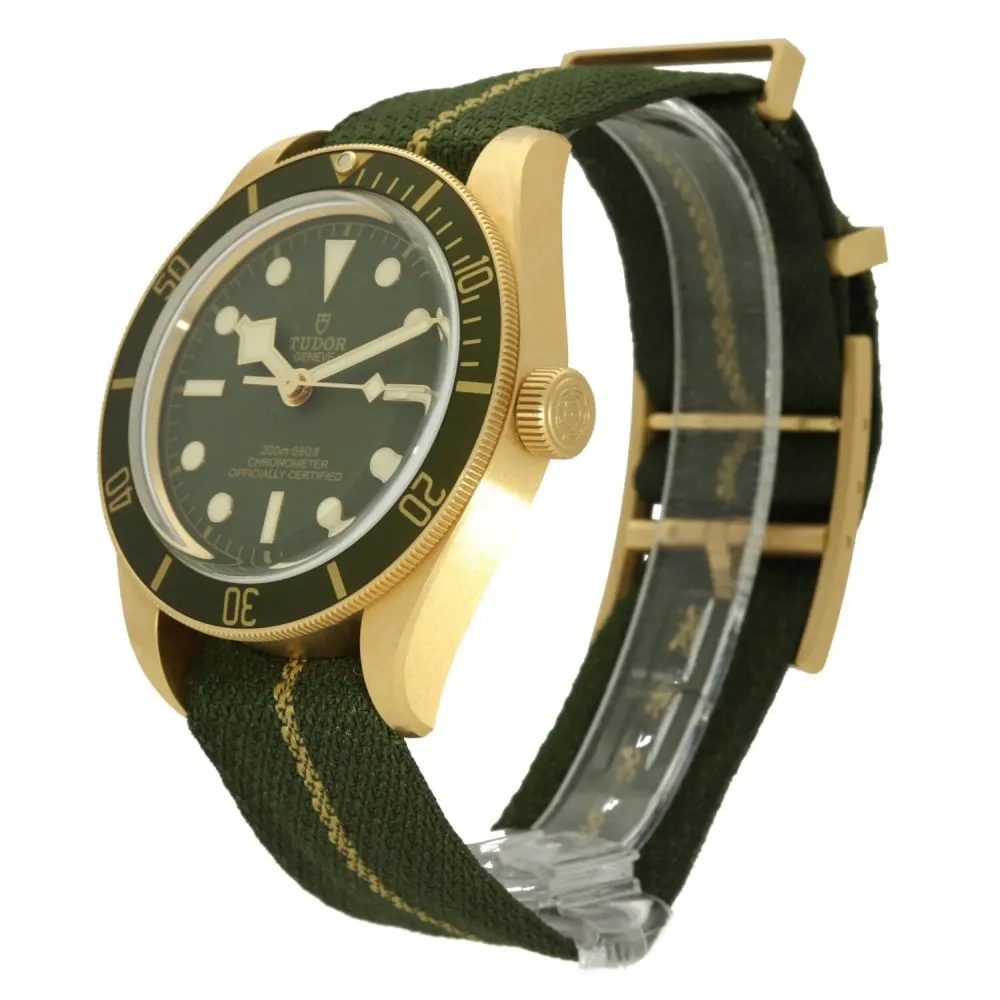Tudor Black Bay 58 M79018V-0001 — 2021 — Very good detail 3