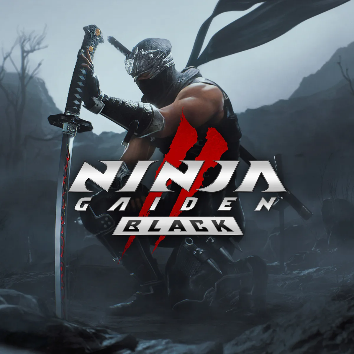KOEI TECMO EUROPE NINJA GAIDEN 2 Black in Digital, additional product view 2