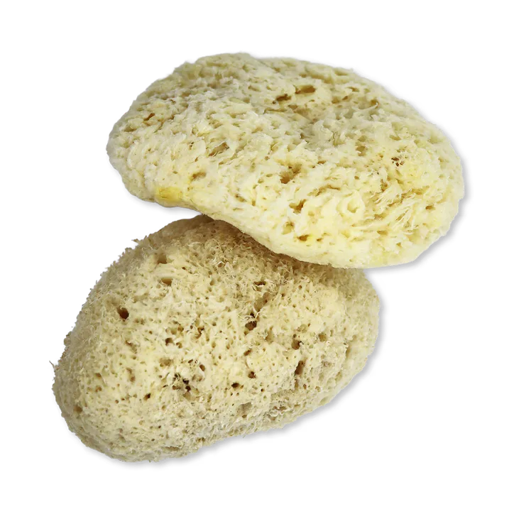 SpongeBox Natures Touch Sheep Wool Gentle Body & Bath Natural Sea Sponge 5-5.5 Inches, additional product view 2