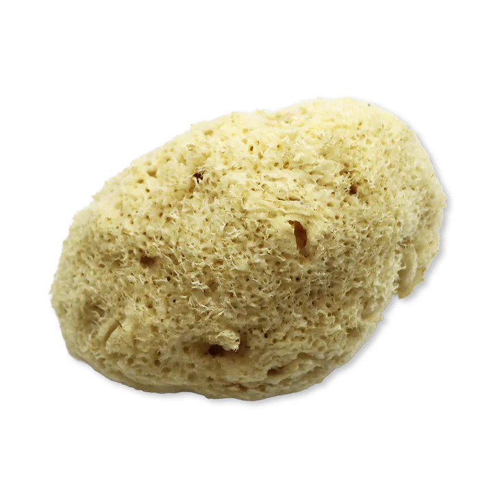 SpongeBox Natures Touch Sheep Wool Gentle Body & Bath Natural Sea Sponge 5-5.5 Inches