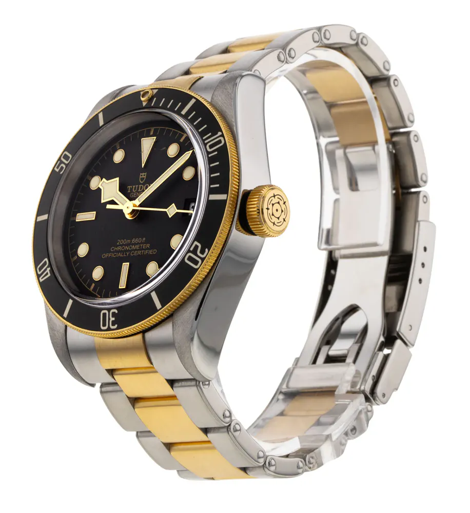 Tudor Black Bay M79733N-0008 — 2021 — Very good detail 2