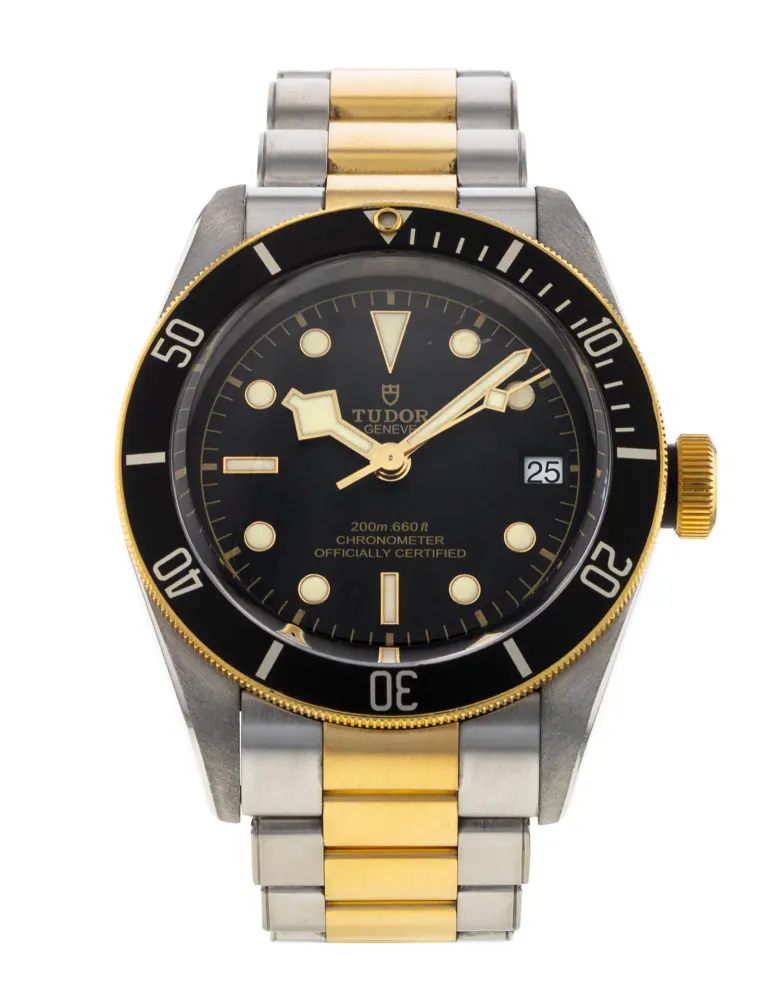 Tudor Black Bay M79733N-0008 — 2021 — Very good