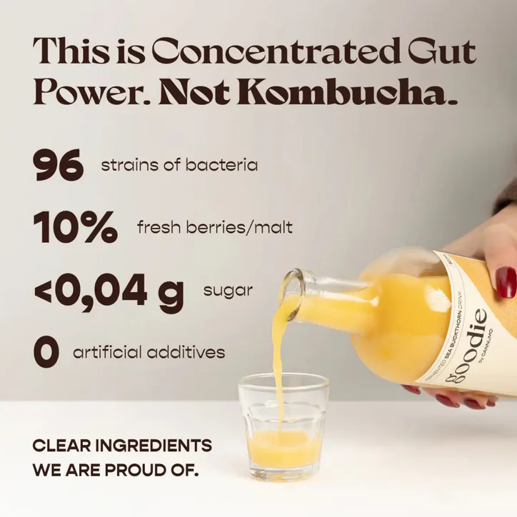 Cannumo GOODIE - Fermented BLACKCURRANT Drink 500ml, additional product view 2