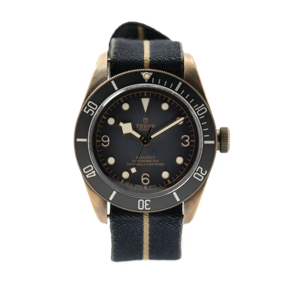 Tudor Black Bay M79250BA-0002 — 2019 — Very good