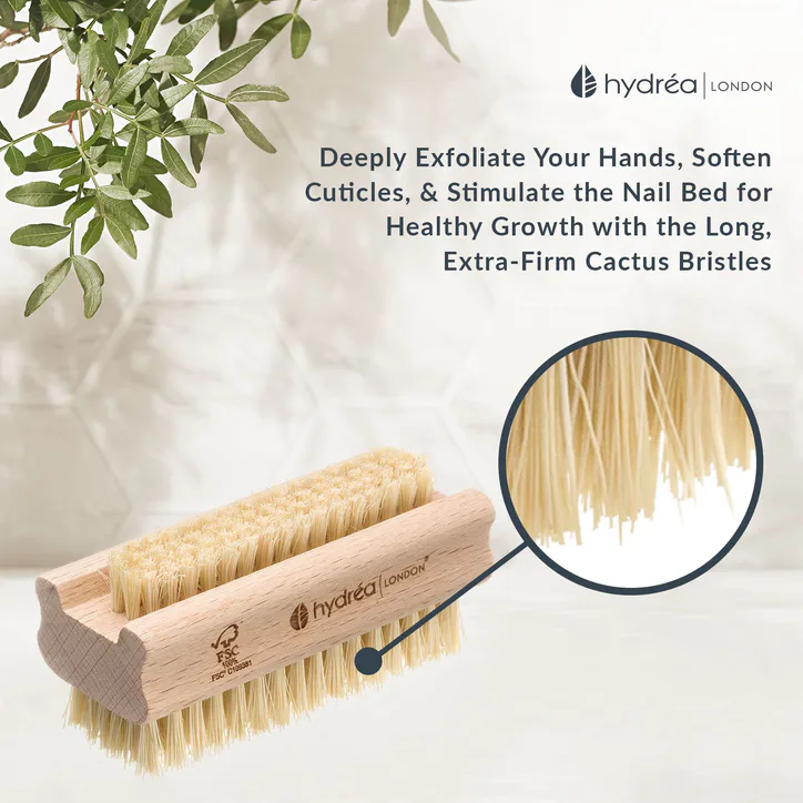 Hydréa London Extra Tough Hand & Nail Brush with Cactus Bristle detail 3