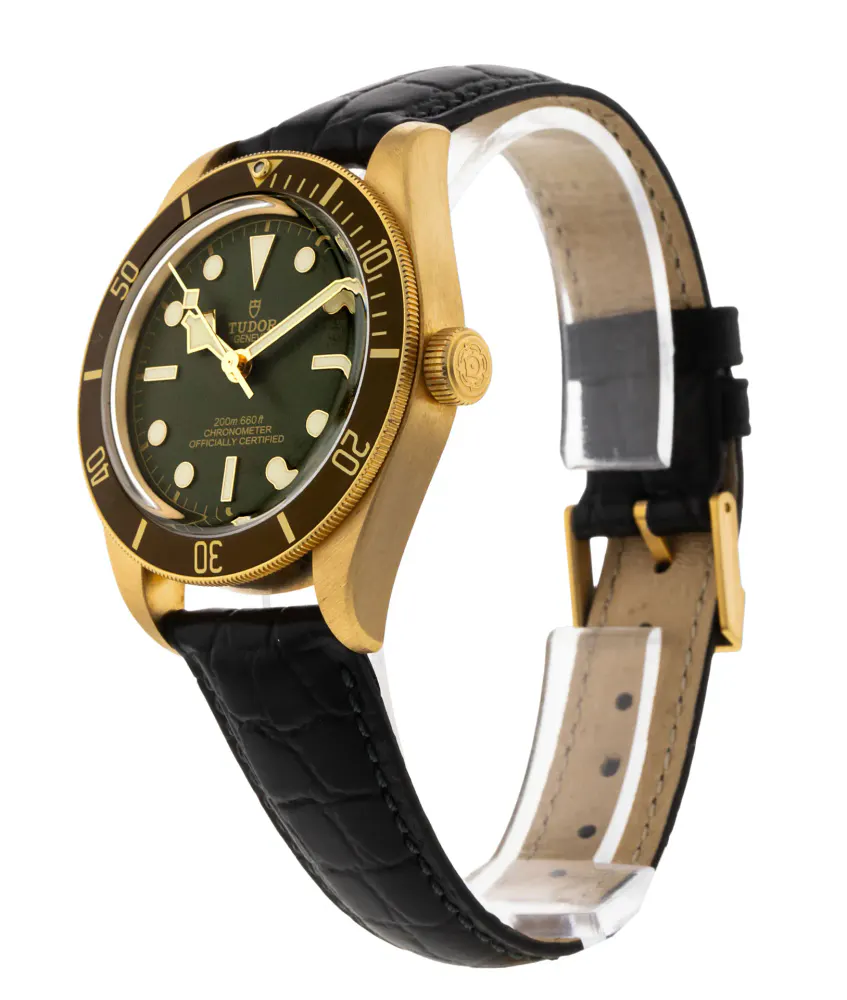 Tudor Black Bay 58 M79018V-0001 — 2024 — Excellent detail 2