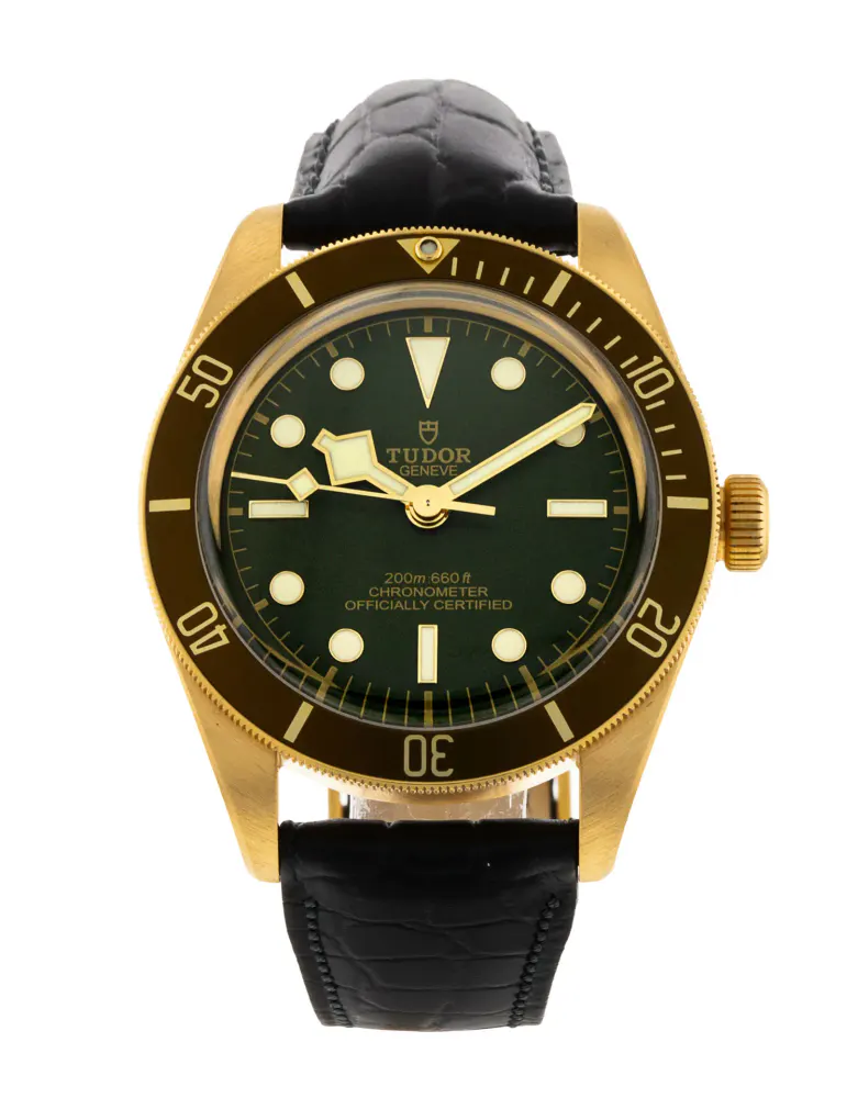 Tudor Black Bay 58 M79018V-0001 — 2024 — Excellent