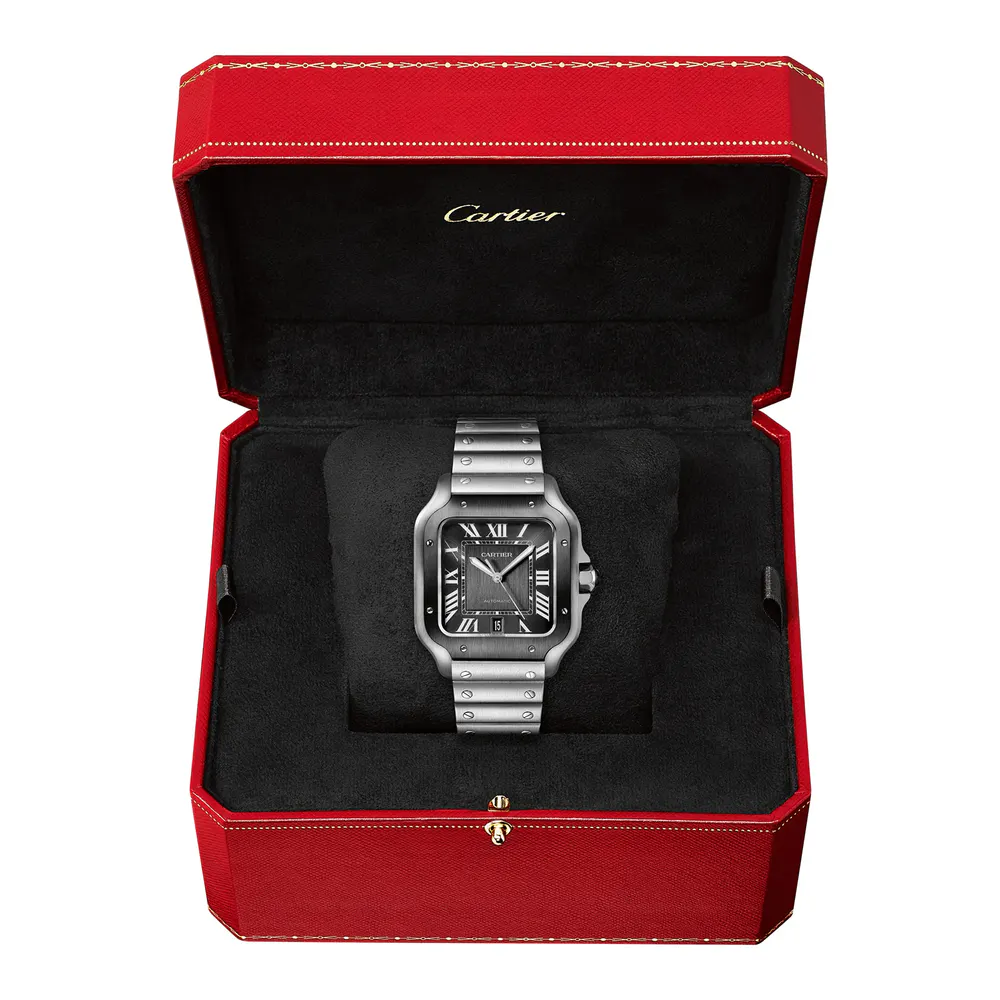 Cartier Santos De Cartier Watch Large Model, Automatic Movement, Steel, ADLC, Interchangeable Metal And Rubber Bracelets detail 3