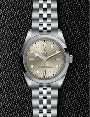 TUDOR M79640-0003 Black Bay stainless-steel automatic watch in CHAMPAGNE, additional product view 2