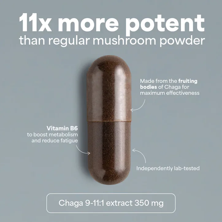 Sooo.me SOOO immune: Chaga extract 9-11:1 90 Capsules, additional product view 3