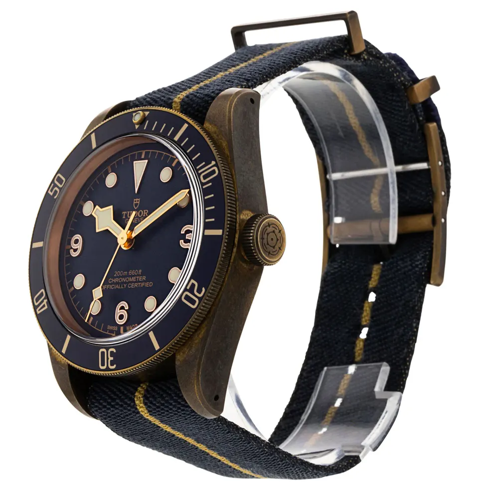 Tudor Heritage Black Bay 79250BB — 2019 — Excellent detail 2