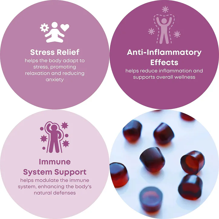 Reakiro 4 Mushroom Complex Berry 8000 mg 60 Gummies detail 2