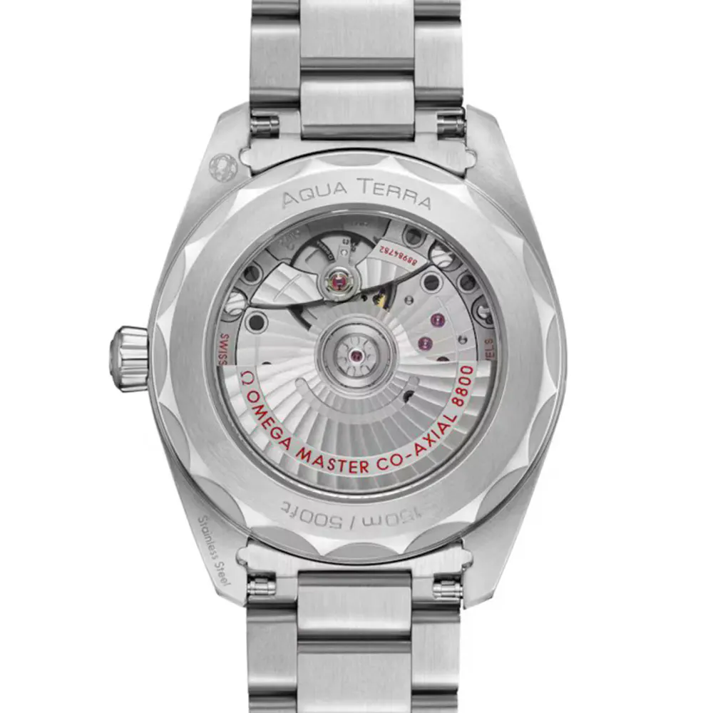 Omega Seamaster Aqua Terra 150M 38mm, Steel on Steel detail 2