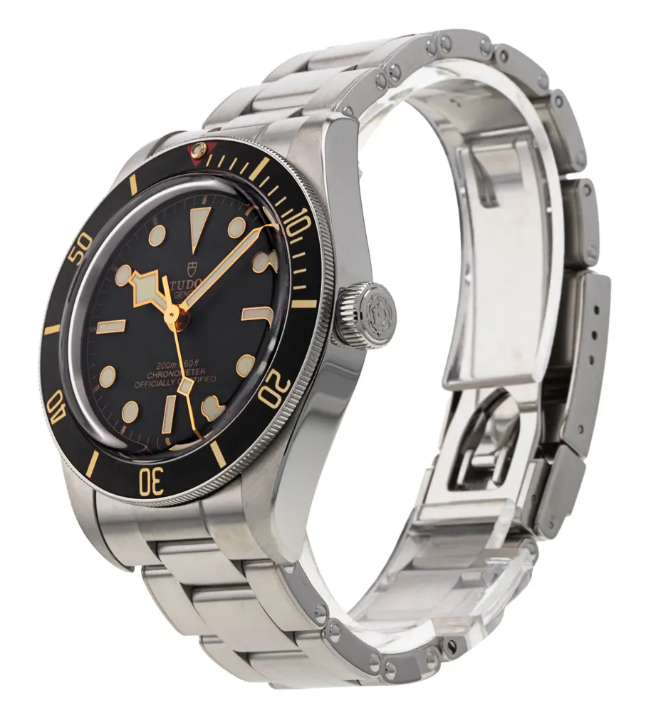 Tudor Black Bay 58 M79030N-0001 — 2025 — Very good detail 2