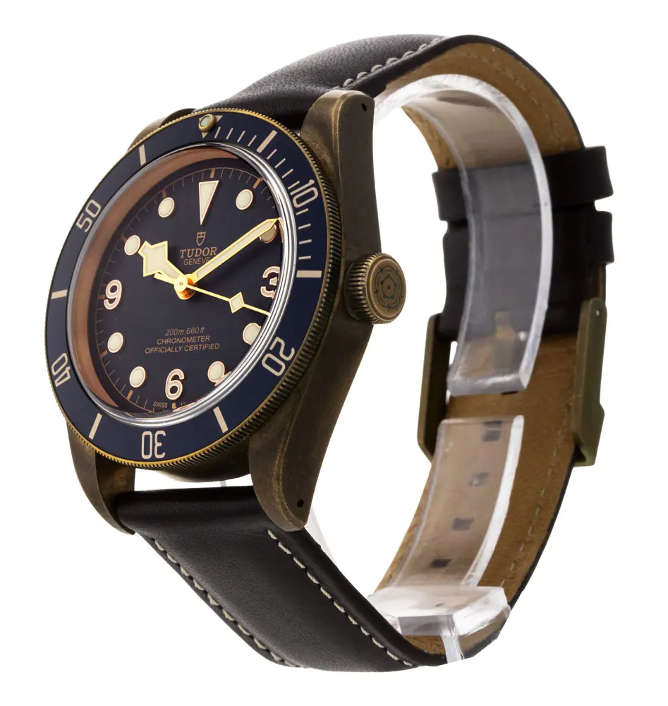 Tudor Heritage Black Bay 79250BB — 2018 — Very good detail 2