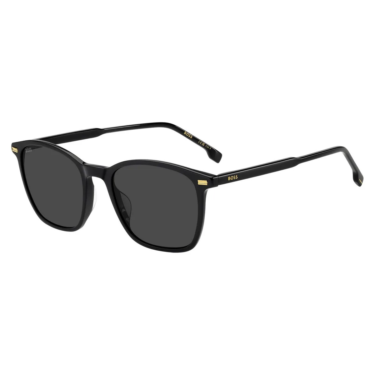 Boss Men's Panthos Wayfarer Sunglasses