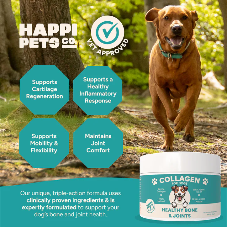 Happi Pets Collagen for Dogs 150 g detail 3