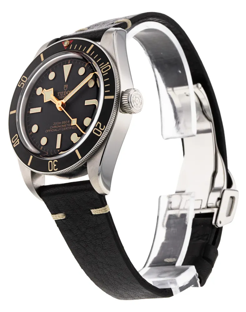 Tudor Black Bay 58 M79030N-0003 — 2021 — Excellent detail 2