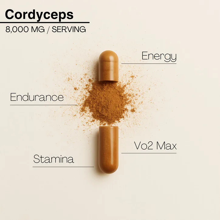 MISSION C Cordyceps Capsules 8000mg with Vitamin B5 60 Vegan Capsules detail 3