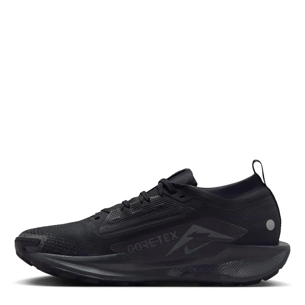 Nike Pegasus Trail 5 GORE-TEX Running Shoes Mens detail 2