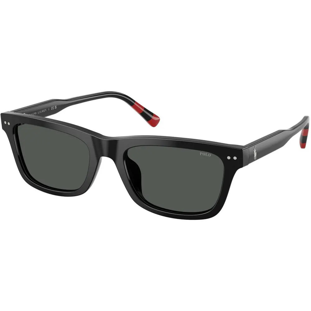 Polo Ralph Lauren Men's 0PH4240U Square Sunglasses