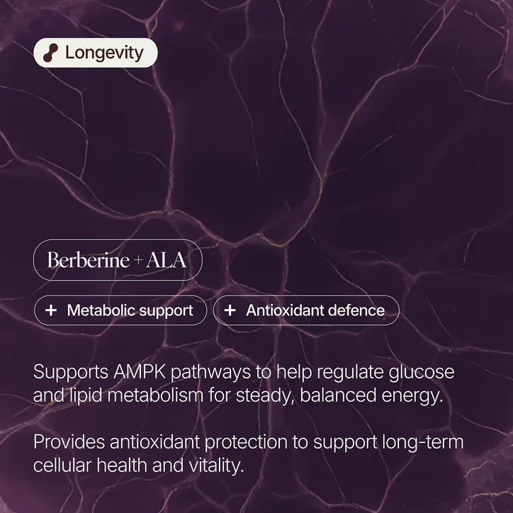 Verve Berberine 300mg + ALA 600mg - Longevity & Blood Sugar Support - 30 Servings detail 3