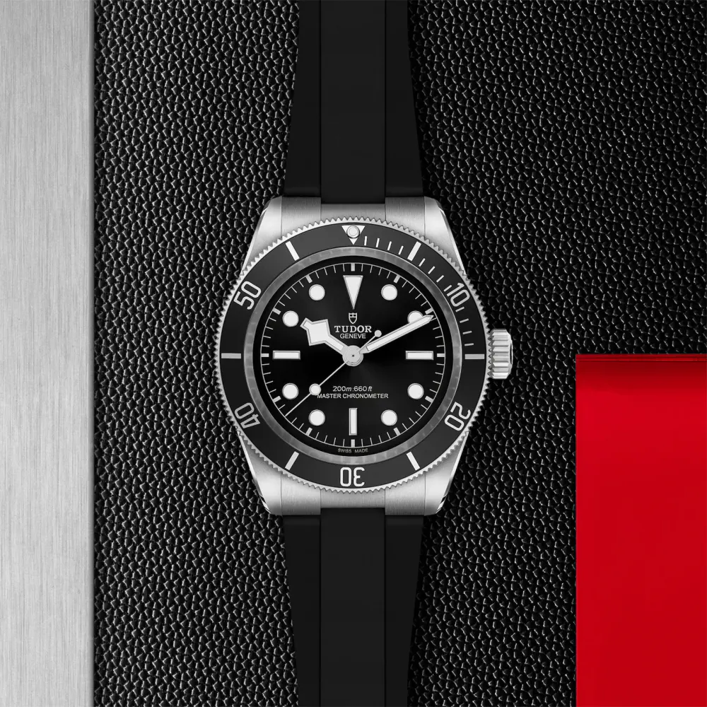 Tudor Black Bay 41mm steel case black rubber strap detail 3