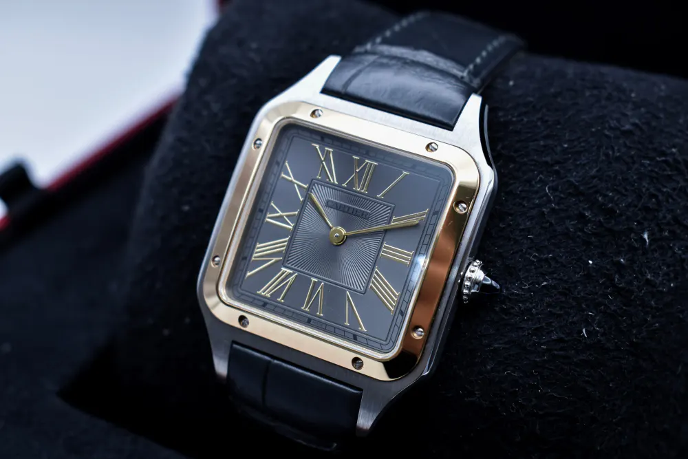 Cartier Santos Dumont W2SA0028 — 2024 — Excellent detail 2