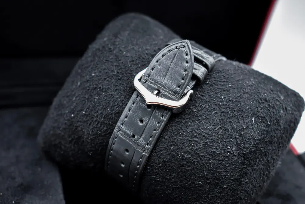 Cartier Santos Dumont W2SA0028 — 2024 — Excellent detail 3
