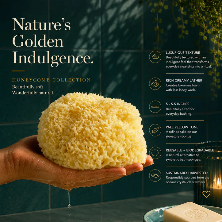 SpongeBox Golden Glow Honeycomb Luxury Body & Bath Natural Sea Sponge 5-5.5 Inches detail 3