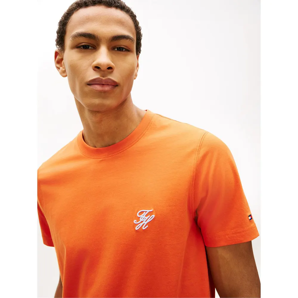 Tommy Hilfiger Men's T-Shirt detail 3