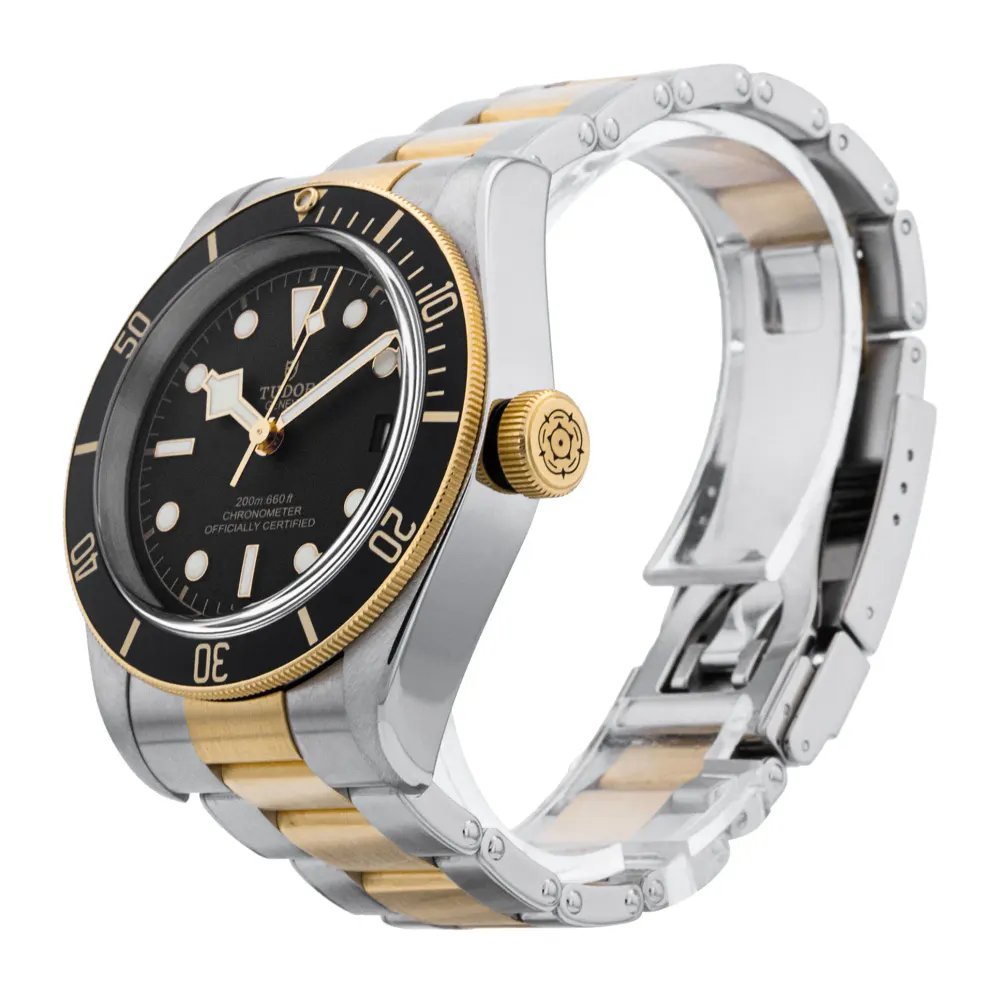 Tudor Black Bay M79733N-0008 — 2017 — Very good detail 2