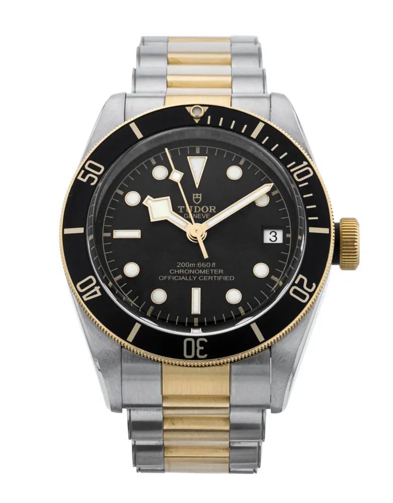 Tudor Black Bay M79733N-0008 — 2017 — Very good