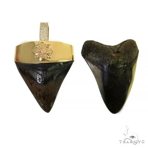 RINA - For Him CUSTOM The Time Travel Megalodon Shark Tooth Pendant 68200 in Rose Gold – Pendant