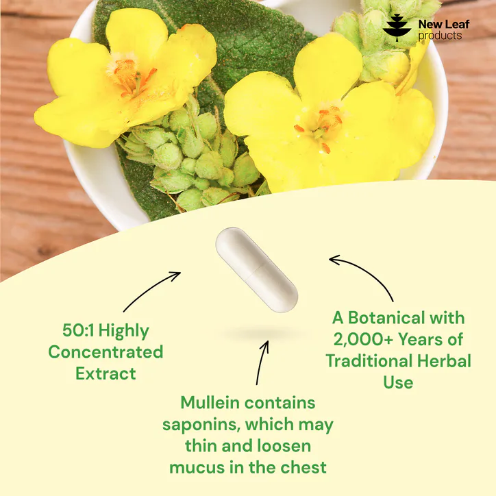 New Leaf Products Mullien Leaf Capsules 120 Capsules detail 2