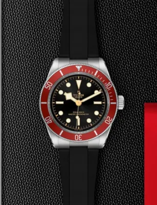 TUDOR Black Bay Stainless-Steel Automatic Watch 41mm in BLACK, additional product view 3