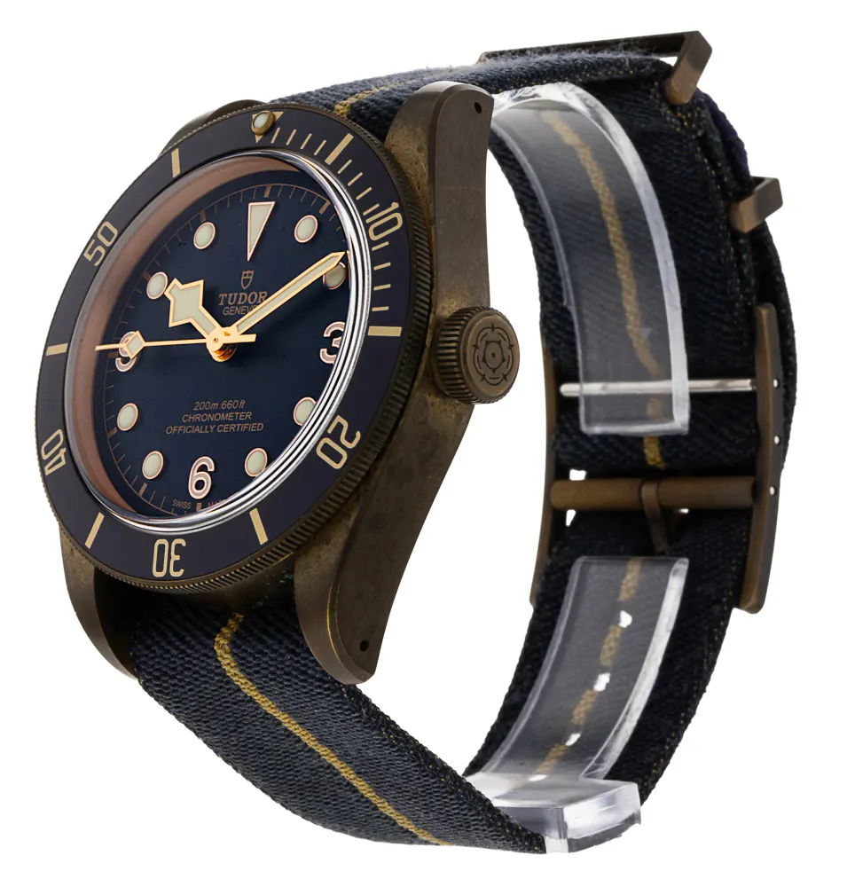 Tudor Heritage Black Bay 79250BB — 2019 — Very good detail 2