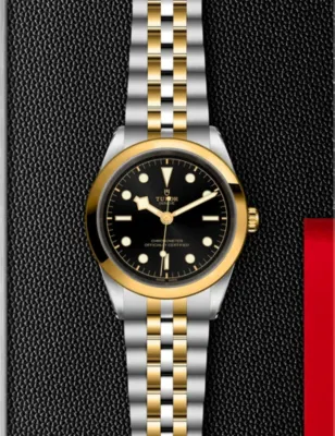 TUDOR M796830001 Black Bay 41 yellow-gold and steel automatic watch in BLACK, additional product view 2
