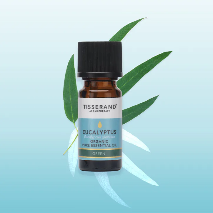 Tisserand Eucalyptus Organic Pure Essential Oil 9ml detail 2